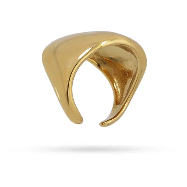 ANILLO SHANI ANARTXY - Imagen 3