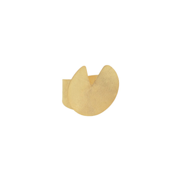 ANILLO BILYFER - Imagen 2